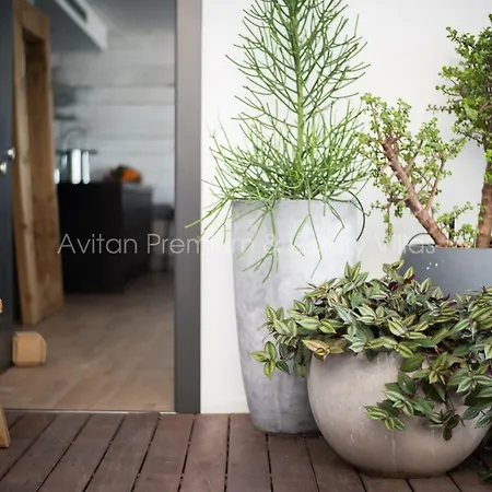 וילה Avitan Premium & Luxury