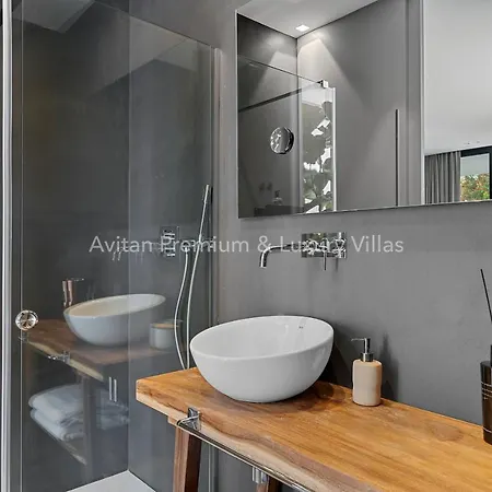 Avitan Premium & Luxury וילה