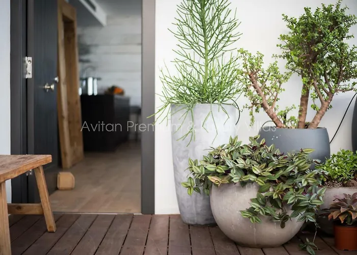 Вилла Avitan Premium & Luxury